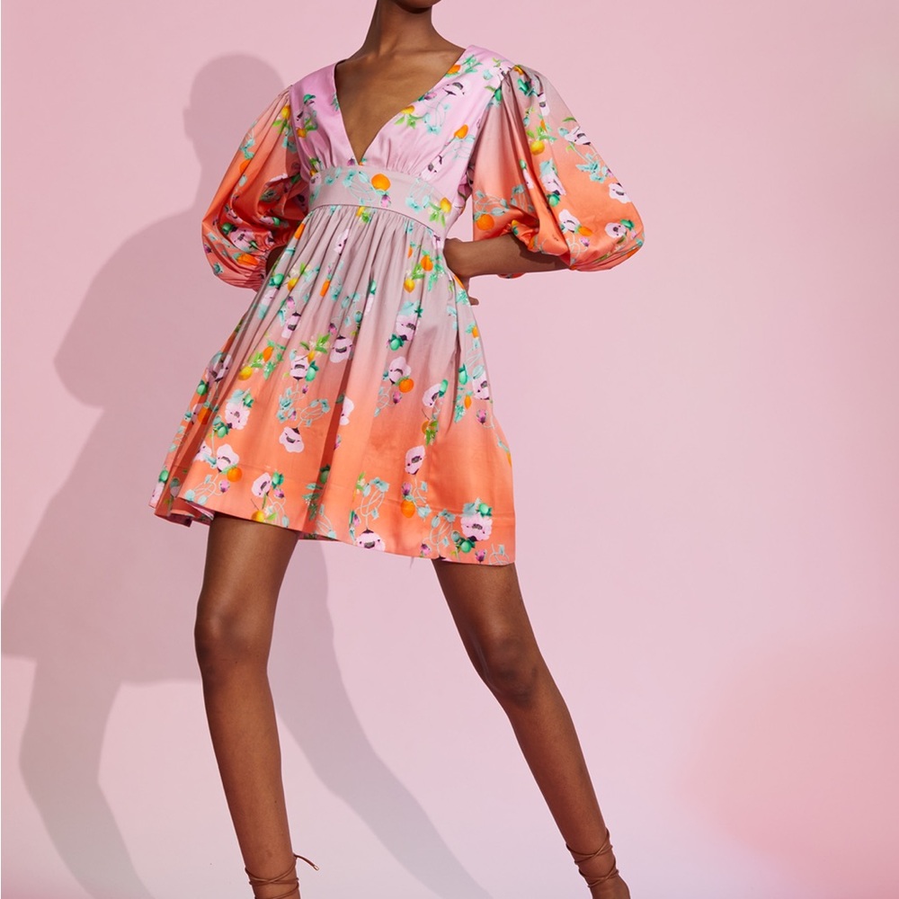 Cynthia Rowley Ombre Floral Mini Dress